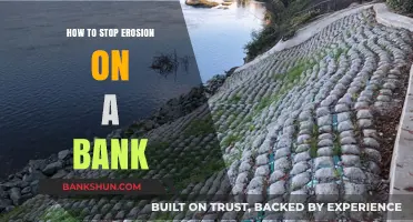 Effective Strategies to Prevent Bank Erosion and Protect Shorelines