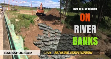 Effective Strategies to Prevent River Bank Erosion Naturally and Sustainably