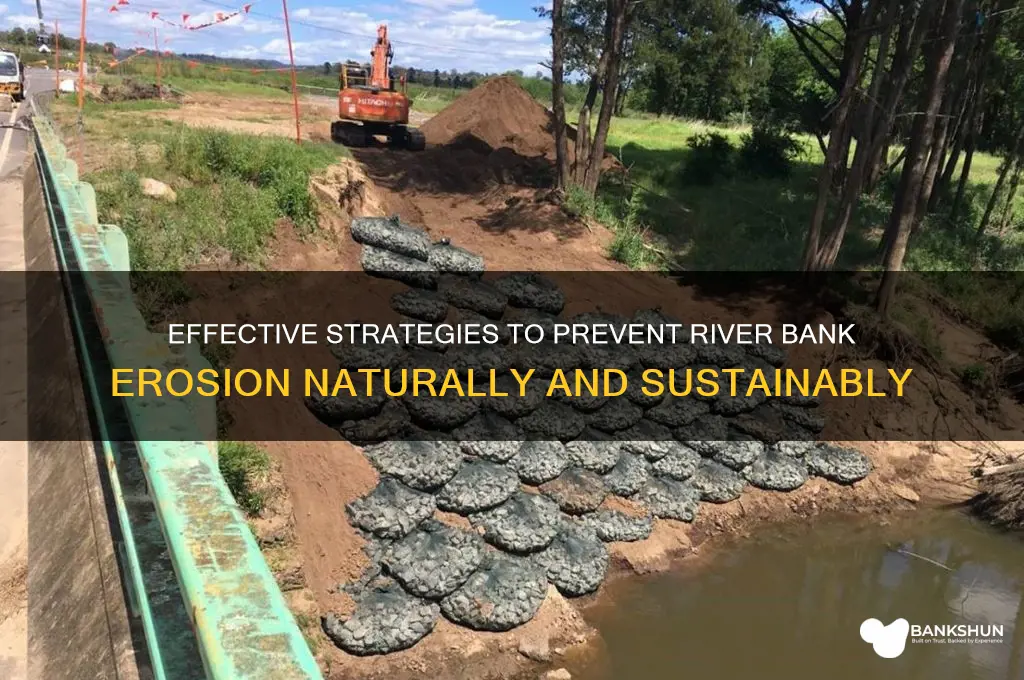 how to stop erosion on river banks