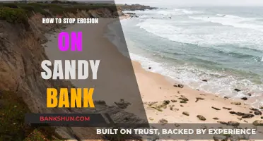 Effective Strategies to Prevent Erosion on Sandy Banks