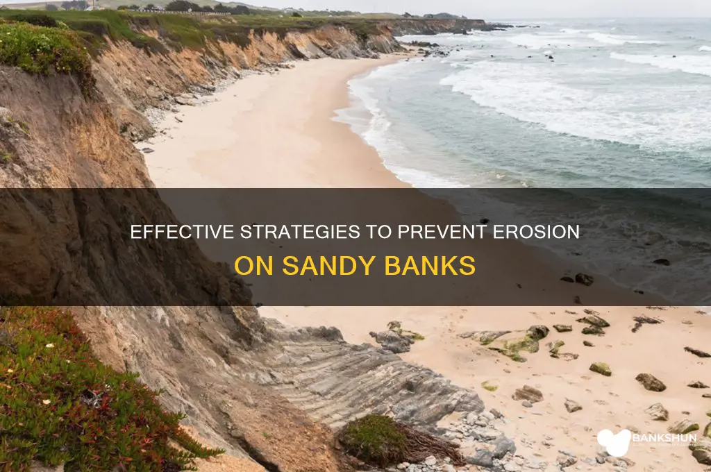 how to stop erosion on sandy bank