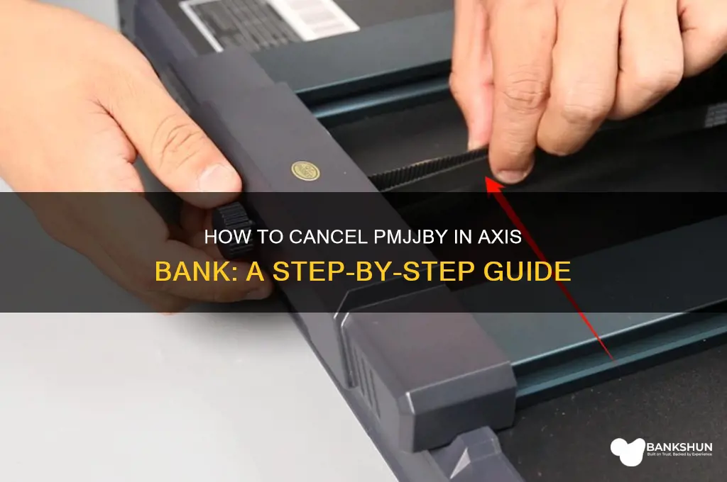 how to stop pmjjby in axis bank