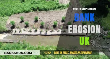 Effective Strategies to Prevent Stream Bank Erosion in the UK