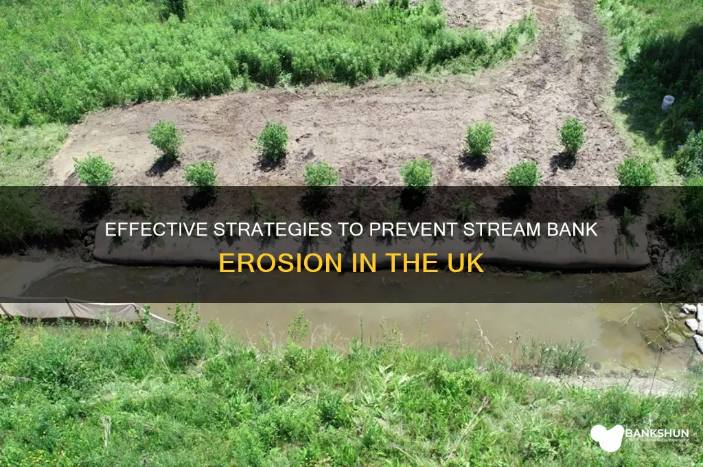 how to stop stream bank erosion uk