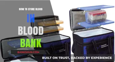 Efficient Blood Storage: Best Practices for Blood Banks