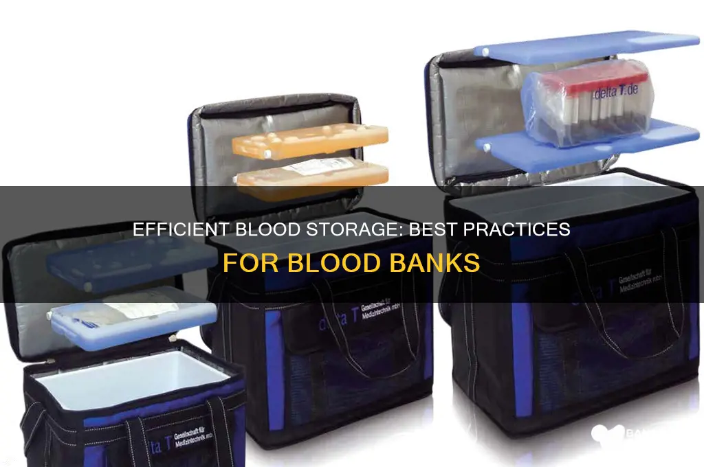 how to store blood in blood bank