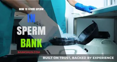 Sperm Banking Guide: Safe and Effective Sperm Storage Tips