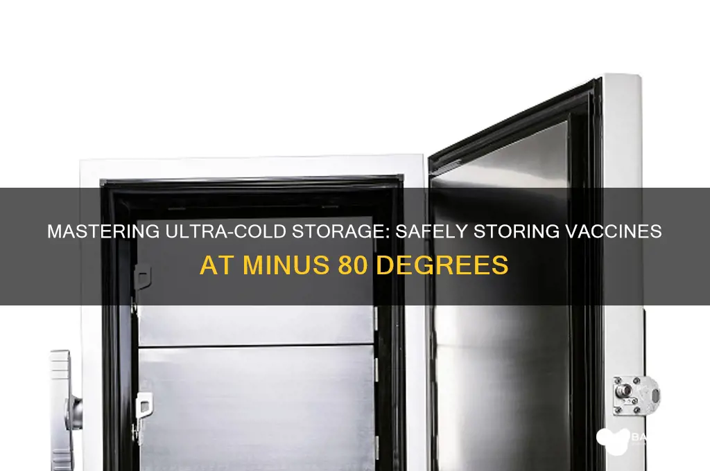how to store vaccine at minus 80