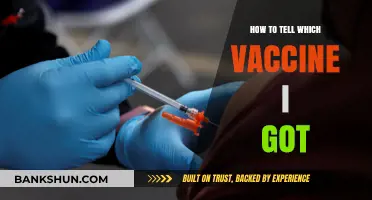 Identifying Your COVID-19 Vaccine: A Simple Guide to Check Your Records