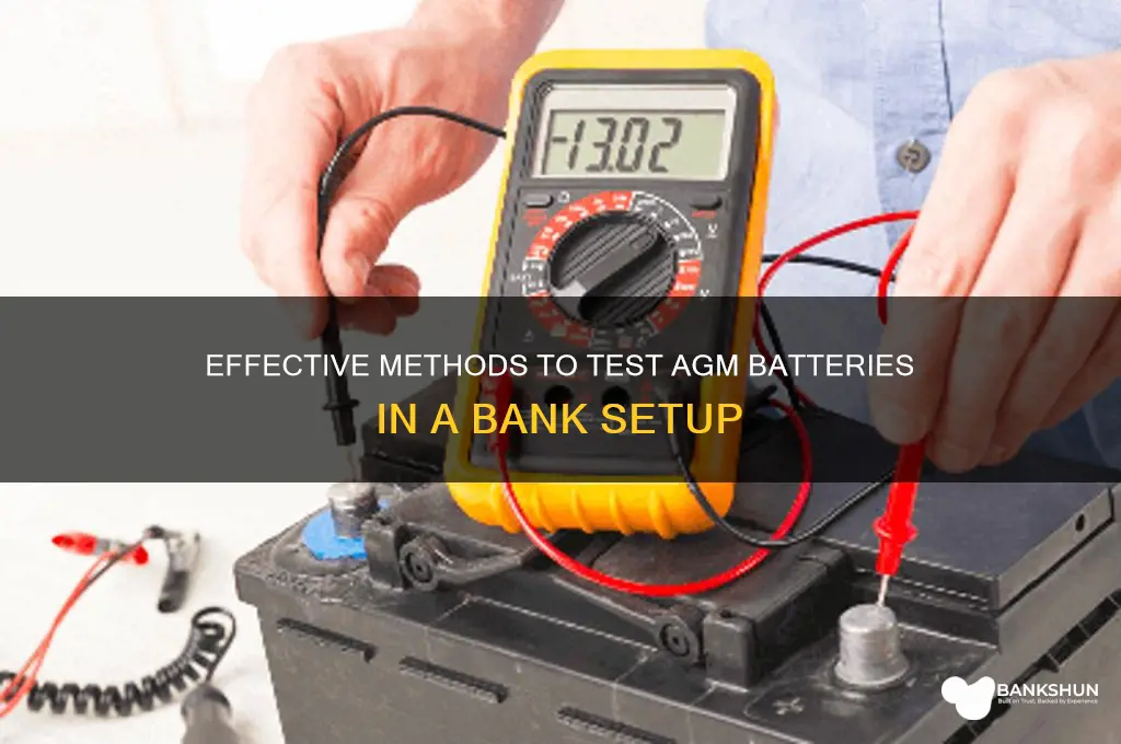 how to test agm batteries in bank
