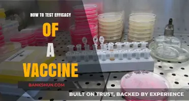 Evaluating Vaccine Efficacy: Key Methods and Best Practices Explained
