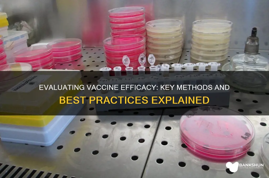 how to test efficacy of a vaccine