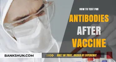 Post-Vaccination Antibody Testing: A Comprehensive Guide to Check Immunity