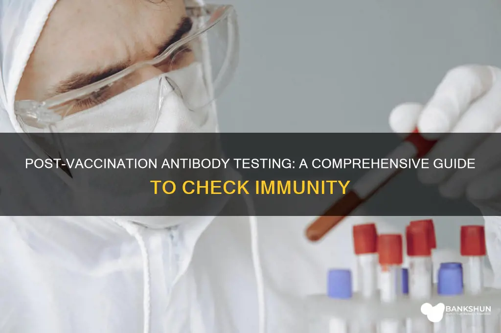 how to test for antibodies after vaccine