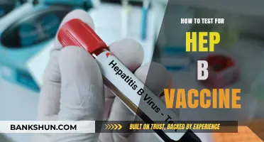 Effective Testing Methods for Hepatitis B Vaccine Immunity