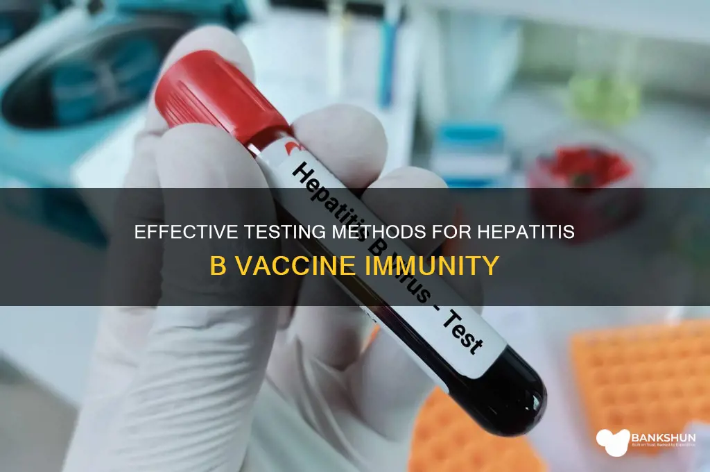 how to test for hep b vaccine