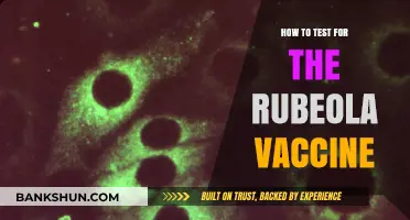 Effective Testing Methods for Rubeola Vaccine Immunity and Efficacy