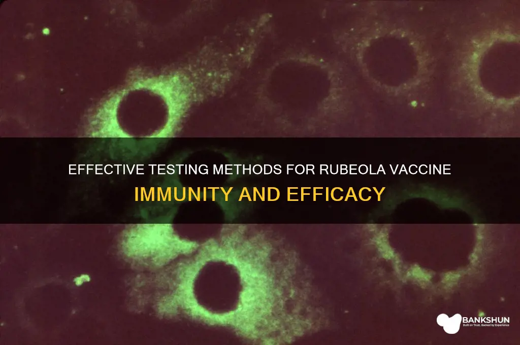 how to test for the rubeola vaccine