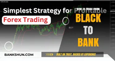 From Black to Bank: Mastering the Art of Profitable Trading Strategies