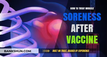 Easing Vaccine-Related Muscle Soreness: Effective Remedies and Recovery Tips