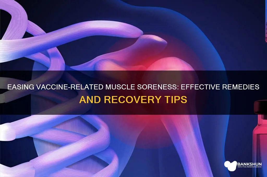 how to treat muscle soreness after vaccine