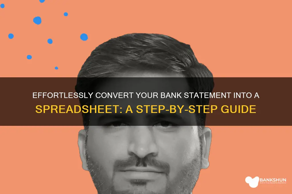 how to turn bank statment into spreadsheet