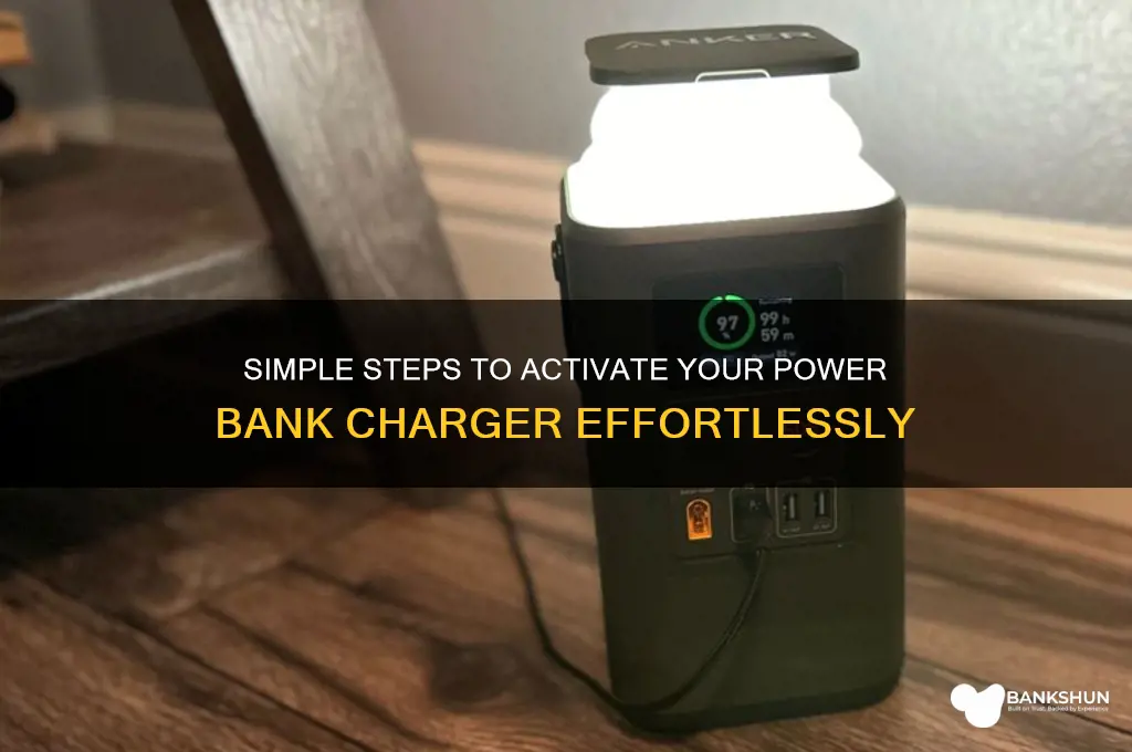 how to turn on powwer bank charger