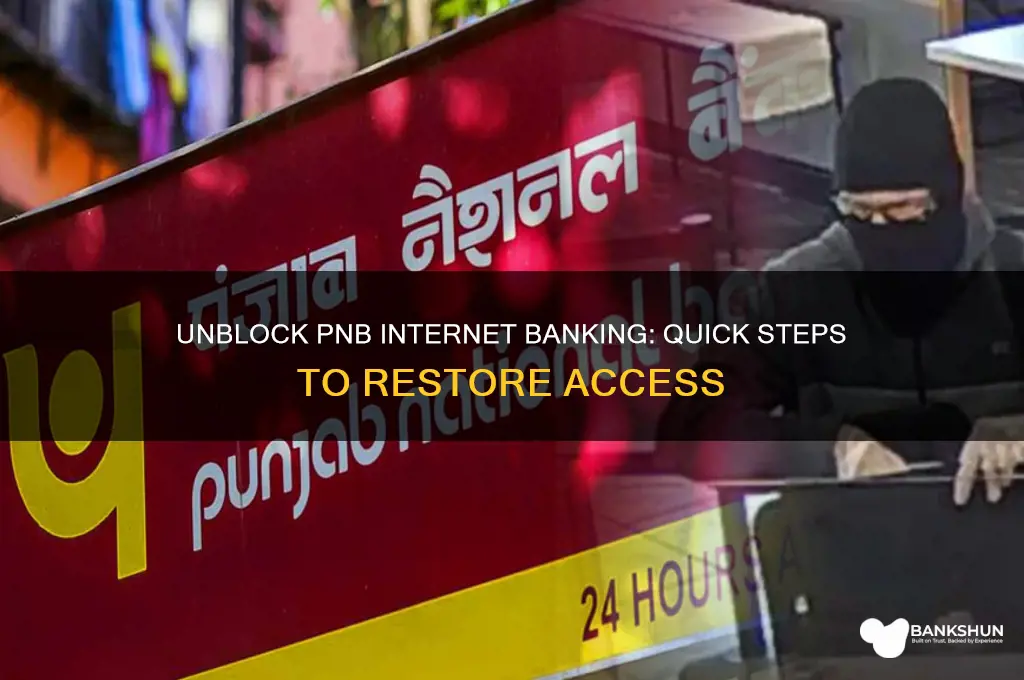 how to unblock internet banking in pnb