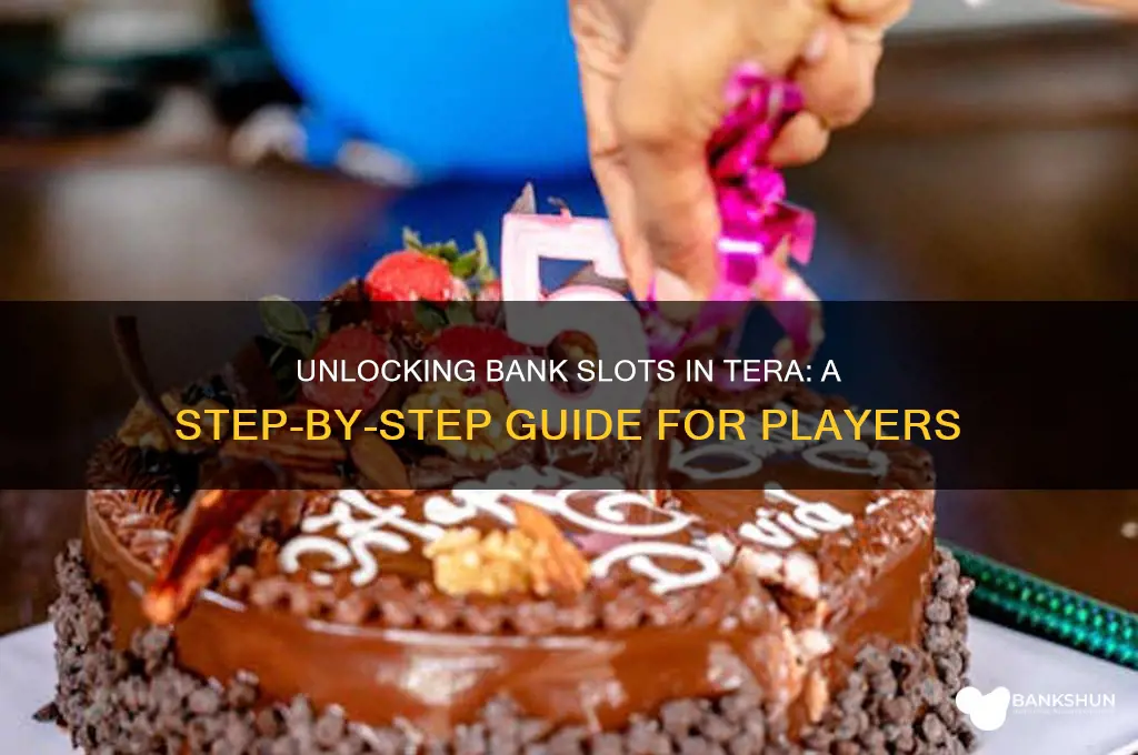 how to unlock bank slots in tera