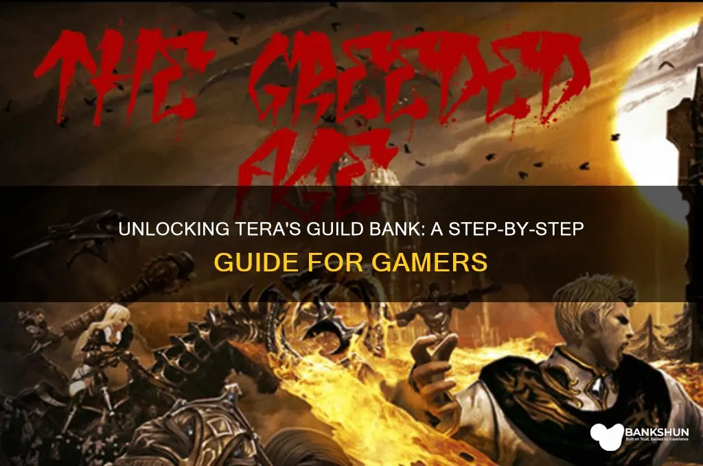 how to unlock guild bank in tera