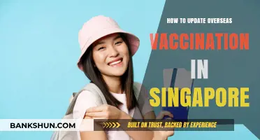 Updating Overseas Vaccinations in Singapore: A Step-by-Step Guide