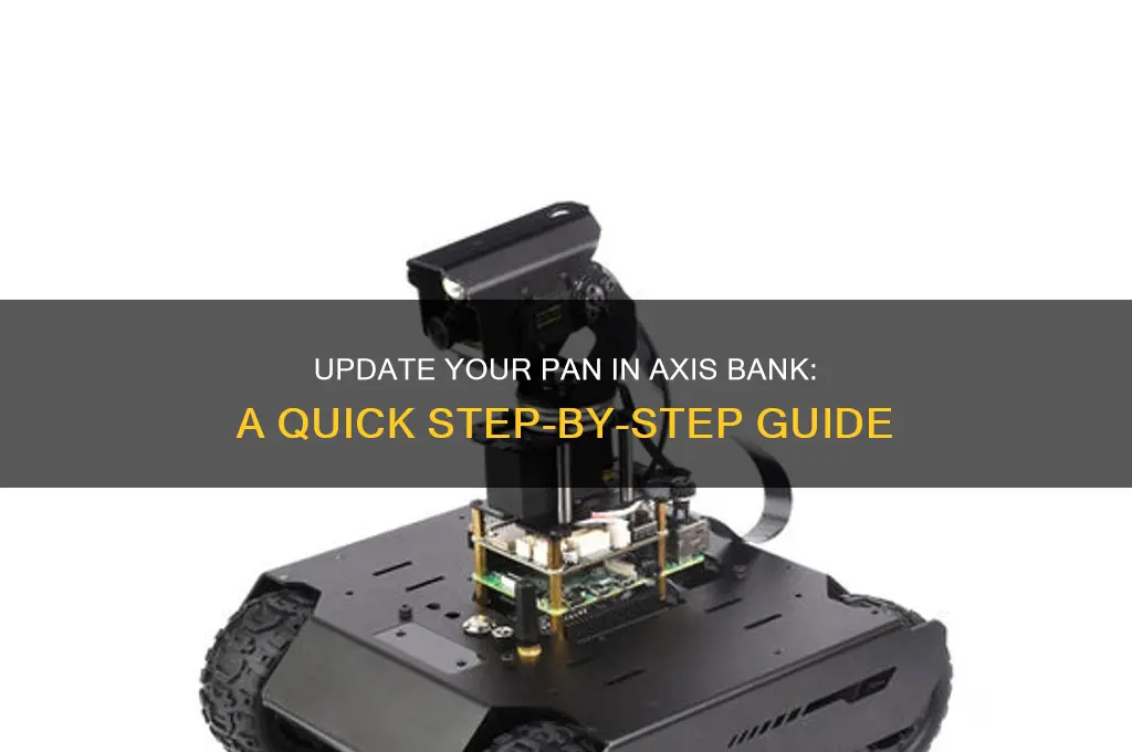 how to update pan in axis bank