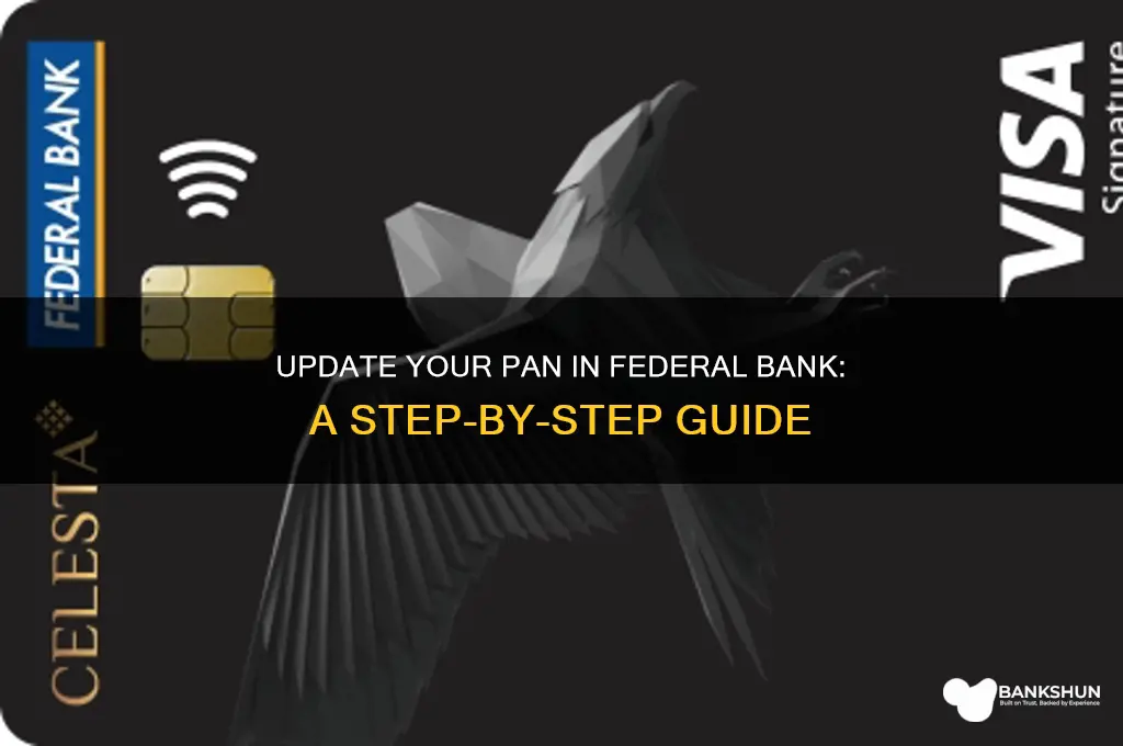 how to update pan in federal bank