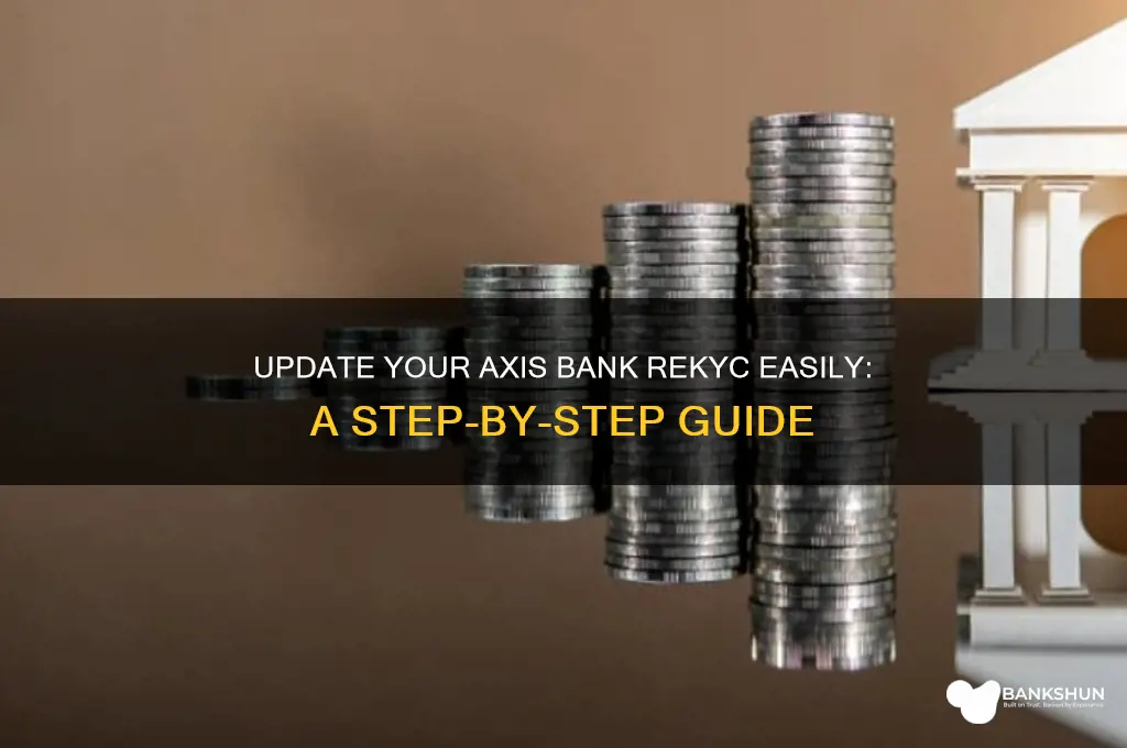 how to update rekyc in axis bank