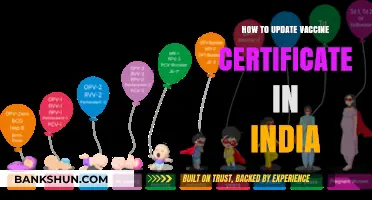 Update Your Vaccine Certificate in India: A Step-by-Step Guide