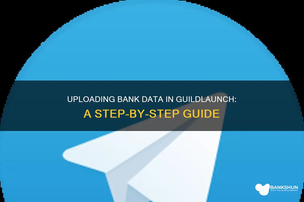 how to upload bank data in guildlaunch