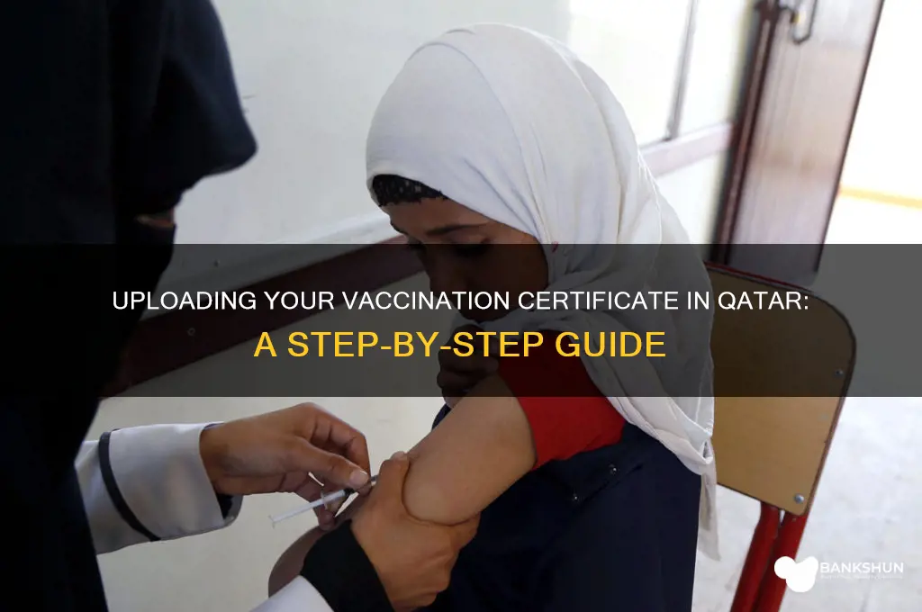 how to upload vaccination certificate in qatar