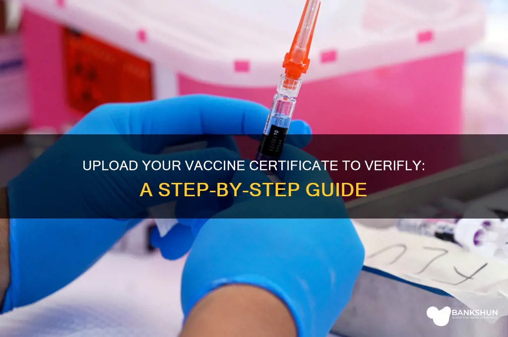 how to upload vaccine certificate to verifly