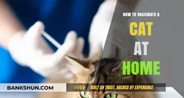 Step-by-Step Guide: Safely Vaccinating Your Cat at Home