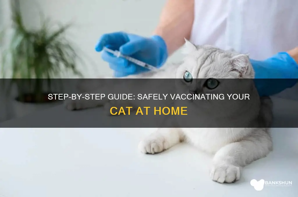 how to vaccinate a cat at home