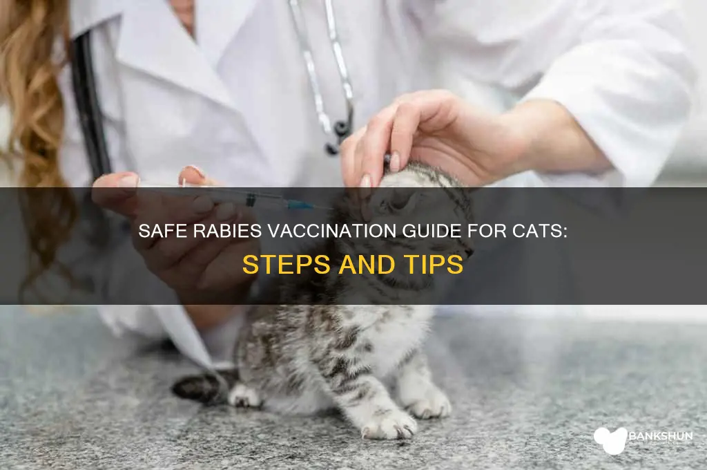 how to vaccinate a cat for rabies