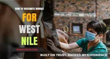 Effective West Nile Vaccination Strategies for Horse Owners