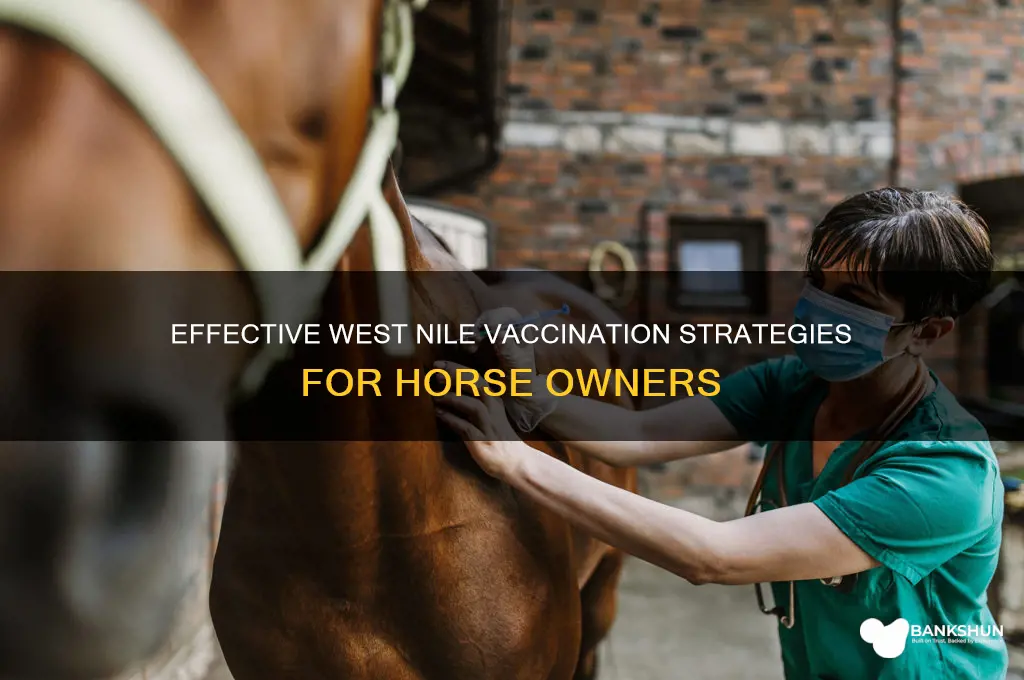 how to vaccinate horses for west nile