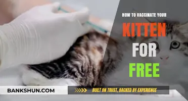 Free Kitten Vaccinations: A Step-by-Step Guide for Pet Owners