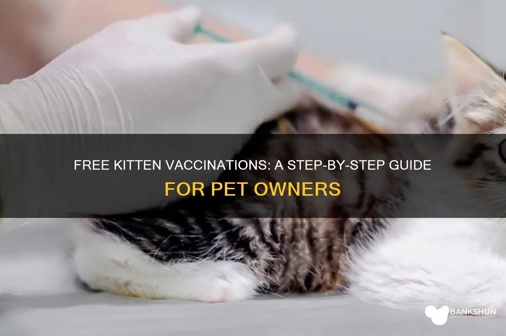how to vaccinate your kitten for free