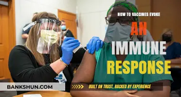 Understanding Vaccines: How They Trigger and Strengthen Immune Responses