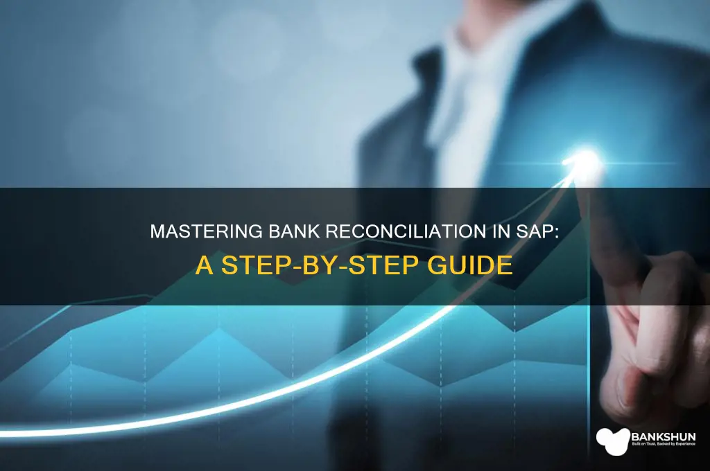 how to view bank reconciliation in sap