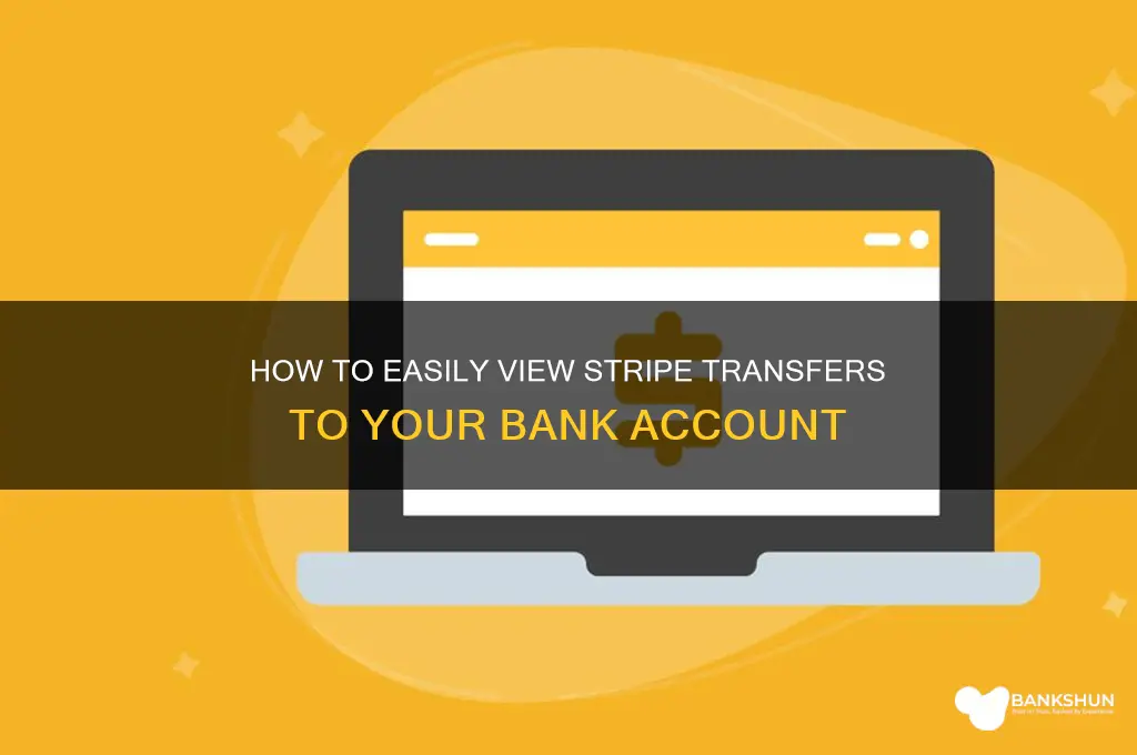 how to view stripe transfers to bank