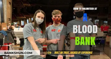 Volunteering at a Blood Bank: A Step-by-Step Guide to Saving Lives