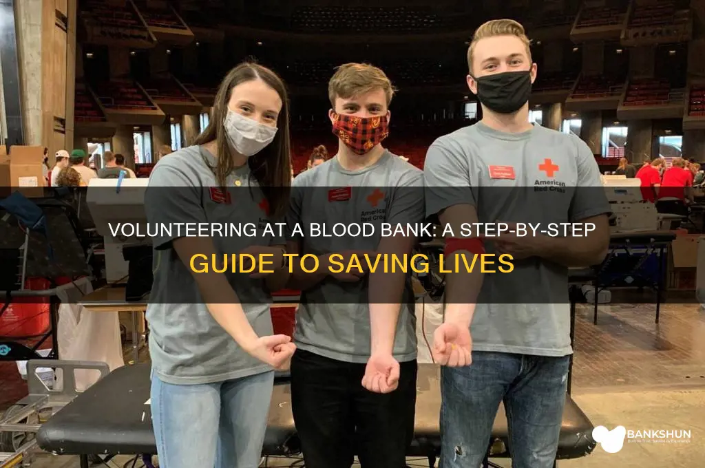 how to volunteer at a blood bank